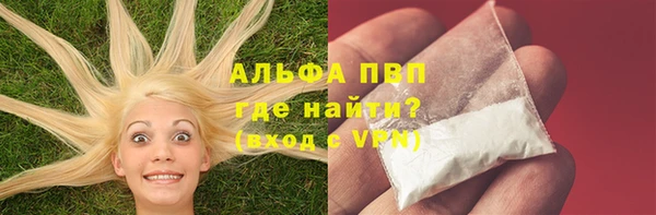 сатива Арсеньев
