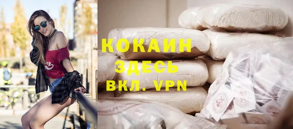 сатива Арсеньев
