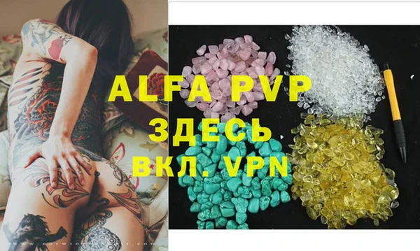 сатива Арсеньев