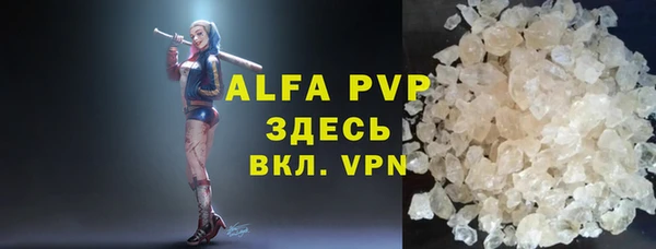 сатива Арсеньев